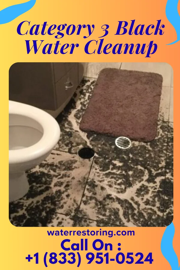 Category 3 Black Water Cleanup in Ihlen, MN